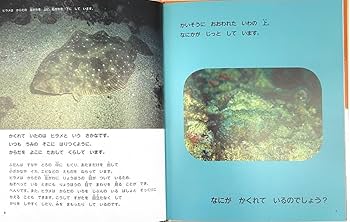 いろを かえて かくれる: タコ・ヒラメ・イカ ほか (うみのかくれんぼ